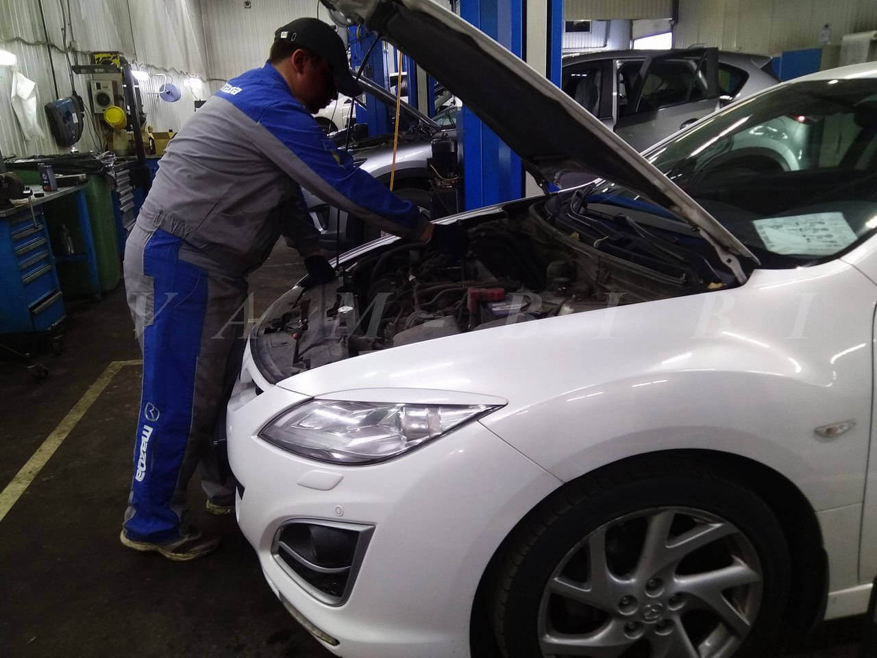 Вам-Биби Поиск и проверка автомобилей, Проверка перед покупкой, диагностика автомобилей, дроверка автомобилей в сервисе, диагностика ходовой, диагностика АКПП, проверка кузова, проверка автомобилей по базам ГИБДД и налоговых органов, Проверка на запрет регистрационных действий, отзывы о работе, отзывы о подборе автомобилей.